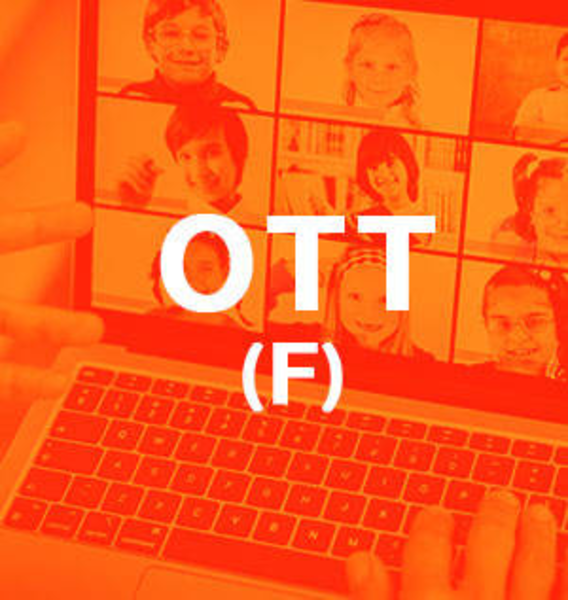 الدورة التدريبية على الشهادة الاحترافية في تقديم التعليم والتدريب الإلكتروني المستوى التأسيسي (OTT-F)